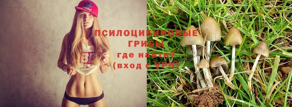 ешки Лабытнанги