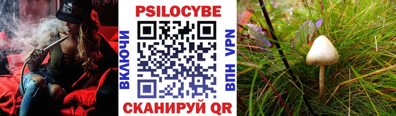Псилоцибиновые грибы ЛСД  Томилино 